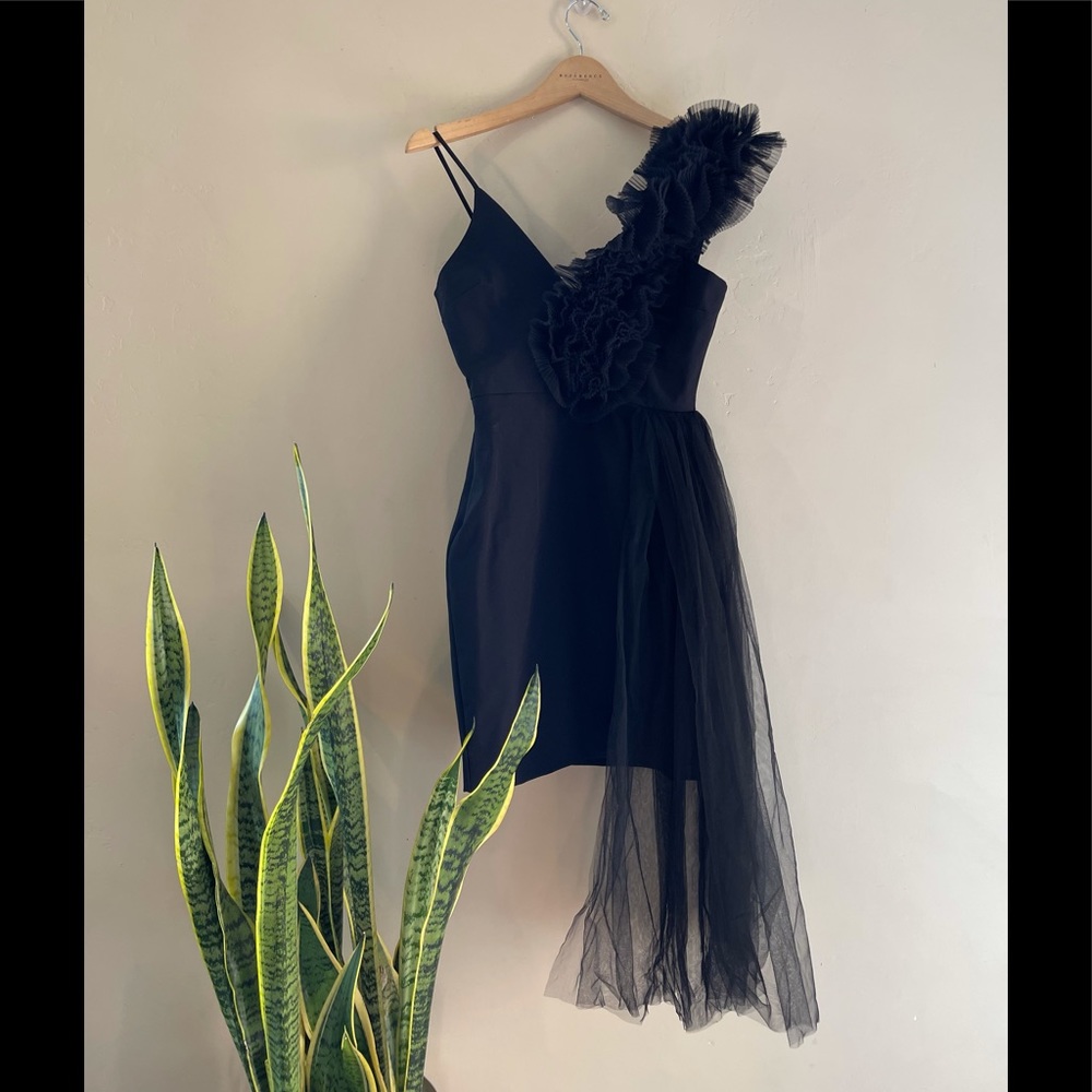 Bianca and Bridgett mini dress